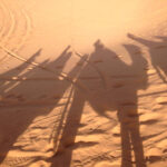 Schatten der Wüste