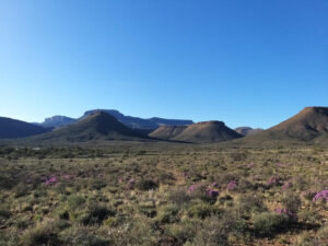 Landschaft im Karoo