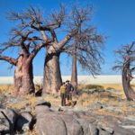 Kubu Island in Botswana